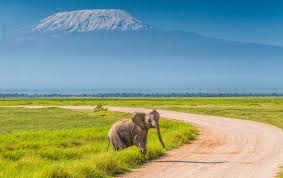 amboseli adventure