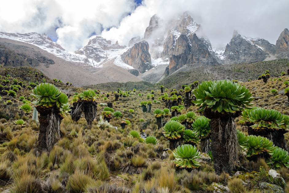 mount kenya hike