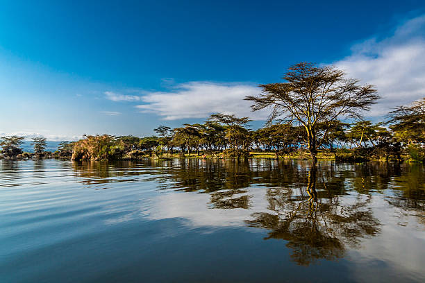 naivasha retreat